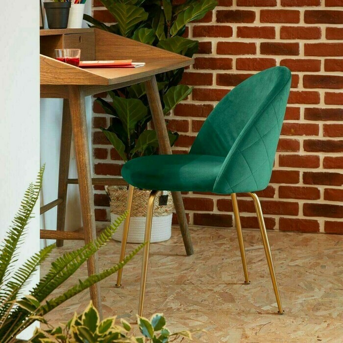 chaise coloris vert